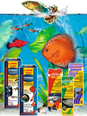 Sera Water Treatment Products at Bob's Tropical Fish
