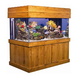 Bob's Tropical Fish: Aquariums by Size